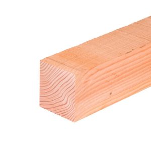 170202 - Douglas paal fb 100 x 100 x 3000 mm 4-ex logs